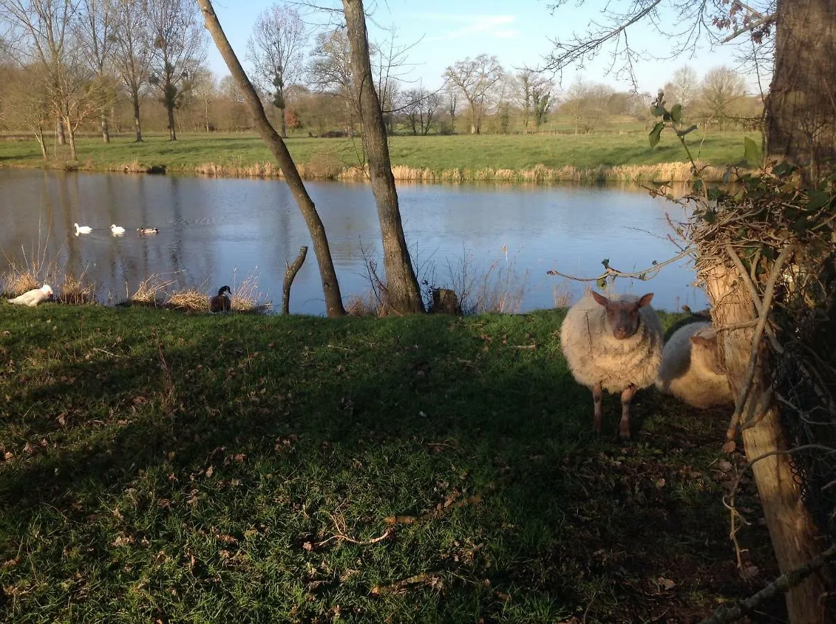 Au Pont Ricoul Bed & Breakfast Saint-Pierre-de-Plesguen
